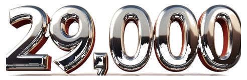 29000 logo
